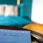 Chez Emilien Apartment *